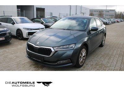 Usata Skoda Octavia First Edition 116 CV (85 kW) 2020 Berlina