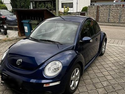 VW Beetle