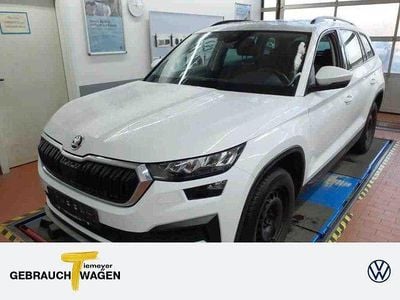 Weiß Gebraucht 2023 Skoda Kodiaq Ambition SUV | 28.440 € (Guter Preis)