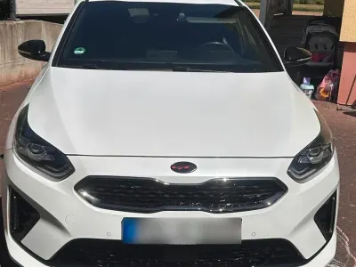 Gebraucht Kia ProCeed GT GT 204 PS (150 kW) 2019 Weiß Kleinwagen