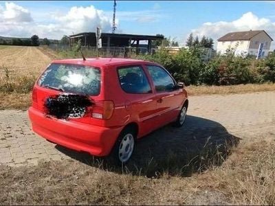 VW Polo