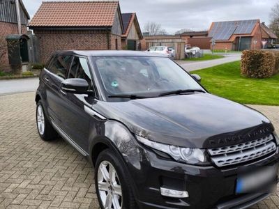 gebraucht Land Rover Range Rover evoque 2.0 Si4 Dynamic Dynamic