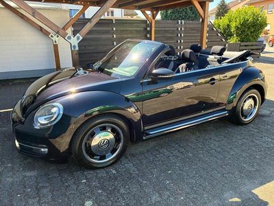 VW Beetle