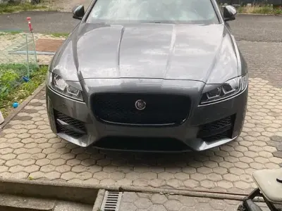 Occasion Jaguar XF R-Sport 300 PK (220 kW) 2016 Grijs Sedan