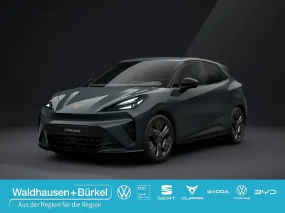 Brugt Cupra Raval