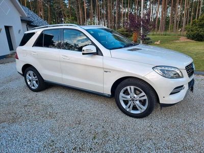 gebraucht Mercedes ML250 CDI BlueTEC 4 Matik 2014