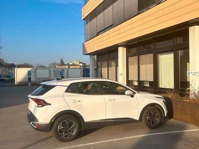 Gebraucht Kia Sportage 150 PS (110 kW) 2023 Weiß SUV
