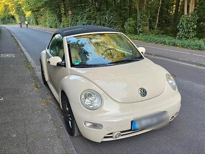 VW Beetle