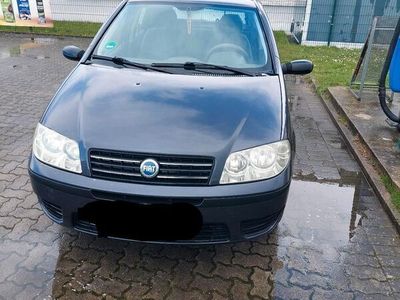 gebraucht Fiat Punto 