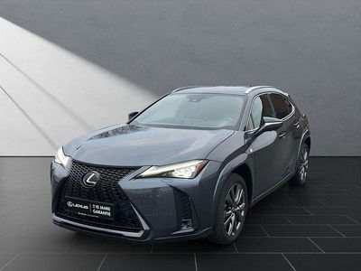 Gebraucht Lexus UX 250h Sport Line 184 PS (135 kW) 2023 Grau SUV