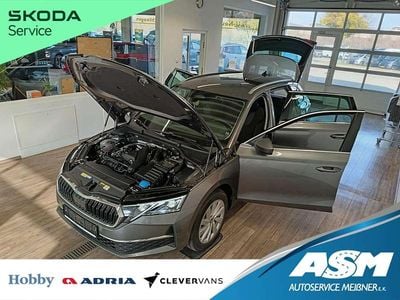 Nuova Skoda Octavia Selection 150 CV (110 kW) 2026 Grigio Station wagon