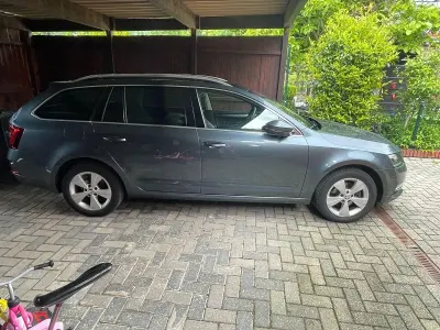 Gebraucht Skoda Octavia Style 116 PS (85 kW) 2019 Grau Kombi