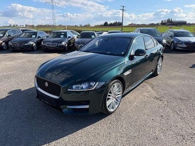 Gebraucht Jaguar XF R-Sport 300 PS (220 kW) 2017 Grün Limousine