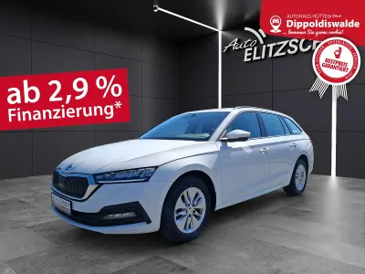 Gebraucht Skoda Octavia Ambition 150 PS (110 kW) 2022 Candyweiss Kombi