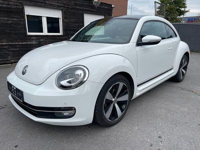 VW Beetle
