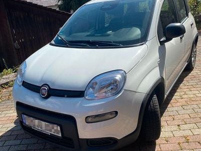 Gebraucht Fiat Panda 69 PS (50 kW) 2024 Weiß Kleinwagen