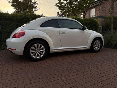 VW Beetle