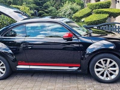 VW Beetle
