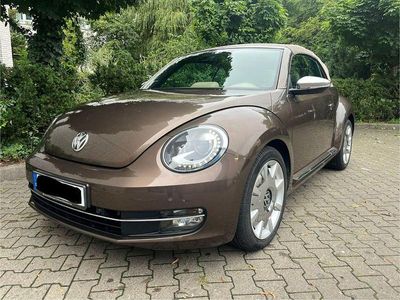 VW Beetle