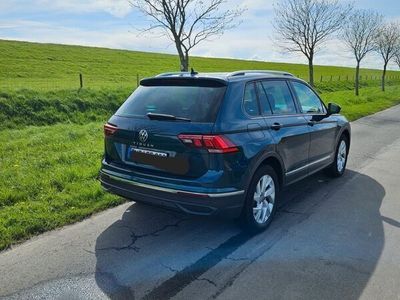 gebraucht VW Tiguan 1.5 TSI OPF DSG Life Life