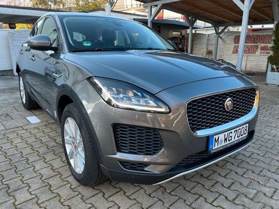 Grau Gebraucht 2019 Jaguar E-Pace R SUV | 19.990 € (Fairer Preis)