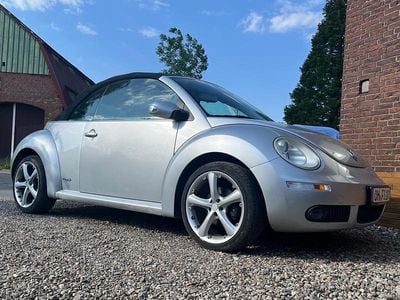 VW Beetle