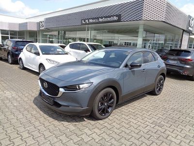 gebraucht Mazda CX-30 Homura SKYACTIV-X 2.0 M HYBRID *Premium-Paket*Auto