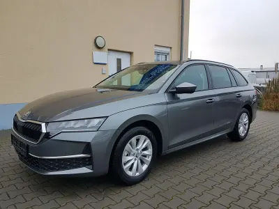 Gebraucht Skoda Octavia
