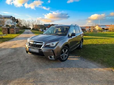 Occasion Subaru Forester Sport 241 ch (177 kW) 2019 Marron SUV