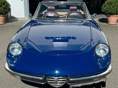 Usata Alfa Romeo Spider 88 CV (64 kW) 1977 Blu Cabrio