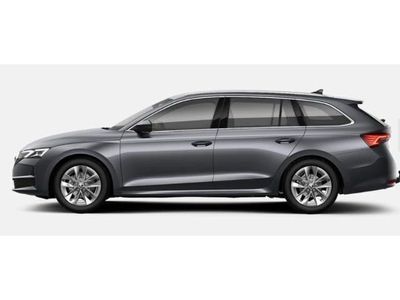 Gebraucht Skoda Octavia Selection 116 PS (85 kW) 2024 Kombi