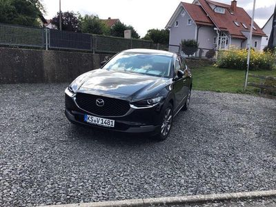 Gebraucht Mazda CX-30 Center-Line 140 PS (102 kW) 2025 SUV