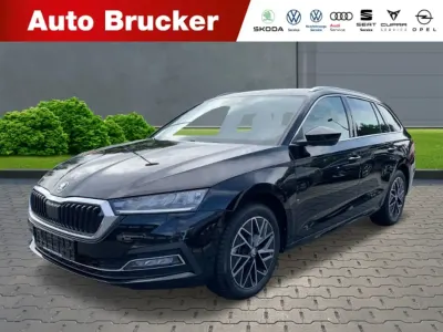 Gebraucht Skoda Octavia Style 150 PS (110 kW) 2024 Blackmagic perleffekt Kombi