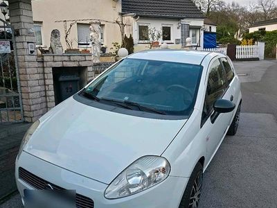 Gebraucht Fiat Grande Punto 65 PS (47 kW) 2009 Weiß Kleinwagen