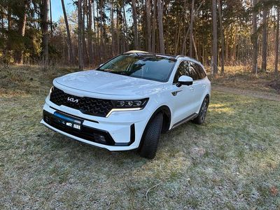 Gebraucht Kia Sorento 215 PS (158 kW) 2023 Weiß SUV