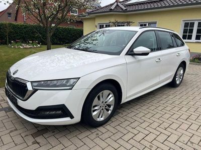 Usata Skoda Octavia G-TEC Ambition 131 CV (96 kW) 2022 Bianco Station wagon