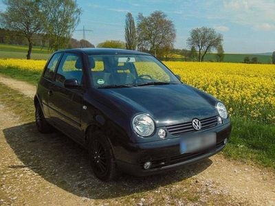 Gebraucht VW Lupo 50 PS (36 kW) 2005 Schwarz Kleinwagen