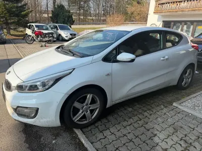 Gebraucht Kia Ceed Edition 7 135 PS (99 kW) 2013 Weiß Kleinwagen