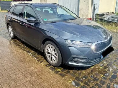 Brugt Skoda Octavia
