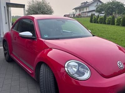 VW Beetle