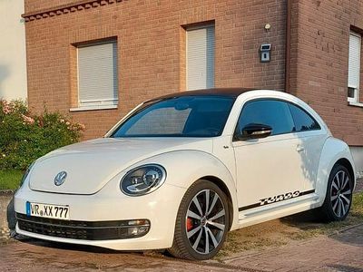 VW Beetle