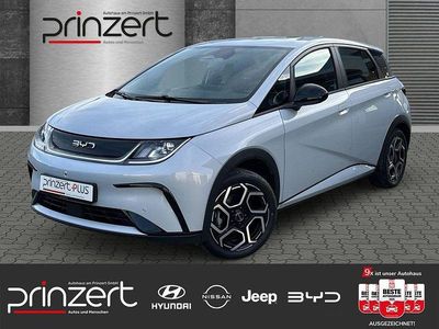 Skiing white Neu 2025 BYD Dolphin Comfort Kleinwagen | 29.770 € (Fairer Preis)