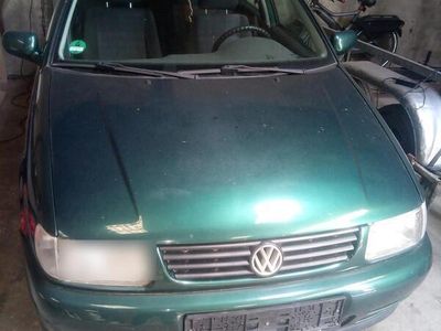 VW Polo