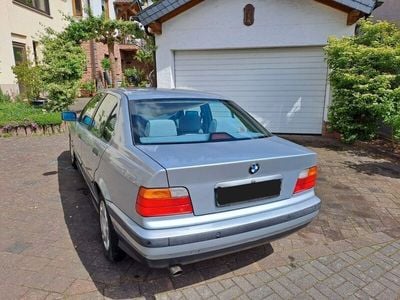BMW 323
