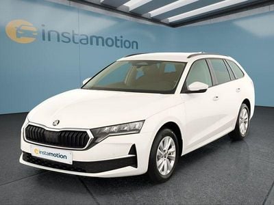 Usata Skoda Octavia