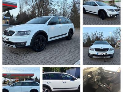 Gebraucht Skoda Octavia 184 PS (135 kW) 2015 Weiß Kleinwagen