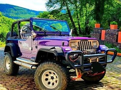 Usata Jeep Wrangler 178 CV (130 kW) 1993 Viola SUV