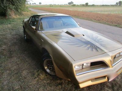 gebraucht Pontiac Trans Am Targa