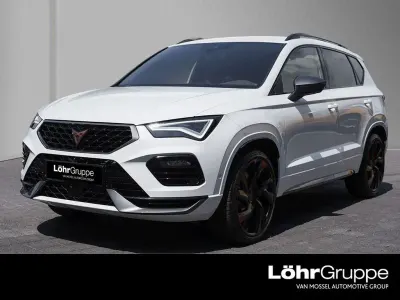 Neu Cupra Ateca VZ 300 PS (220 kW) 2026 Weiß SUV
