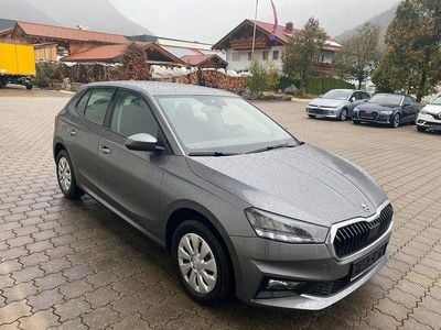 Grau Gebraucht 2024 Skoda Fabia Selection Kleinwagen | 16.900 € (Guter Preis)
